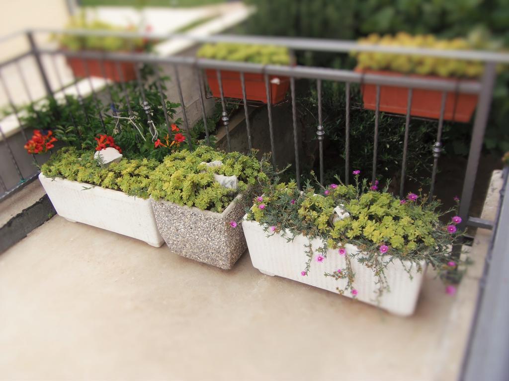 נובי ווינודולסקי Apartments Casper מראה חיצוני תמונה