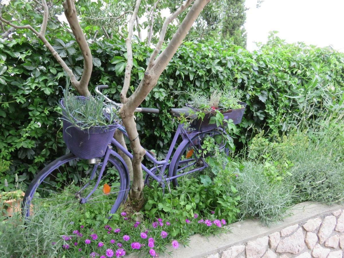 נובי ווינודולסקי Apartments Casper מראה חיצוני תמונה