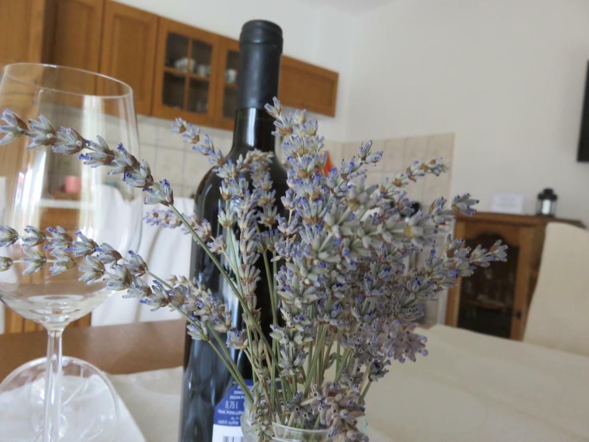 נובי ווינודולסקי Apartments Casper מראה חיצוני תמונה